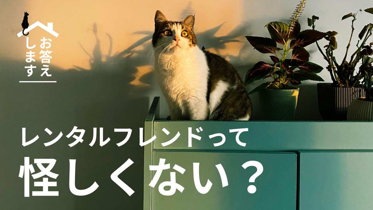 「レンタルフレンドって怪しくないですか？」に全力で答えます